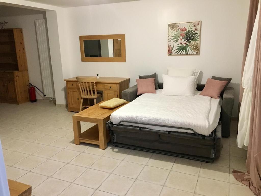 מירפואה Manoir Et Appartements Avec Piscine Au Domaine De Bize Mirepoix מראה חיצוני תמונה